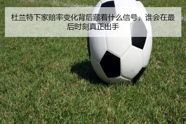 img_1781311013590_257_2_343.jpg